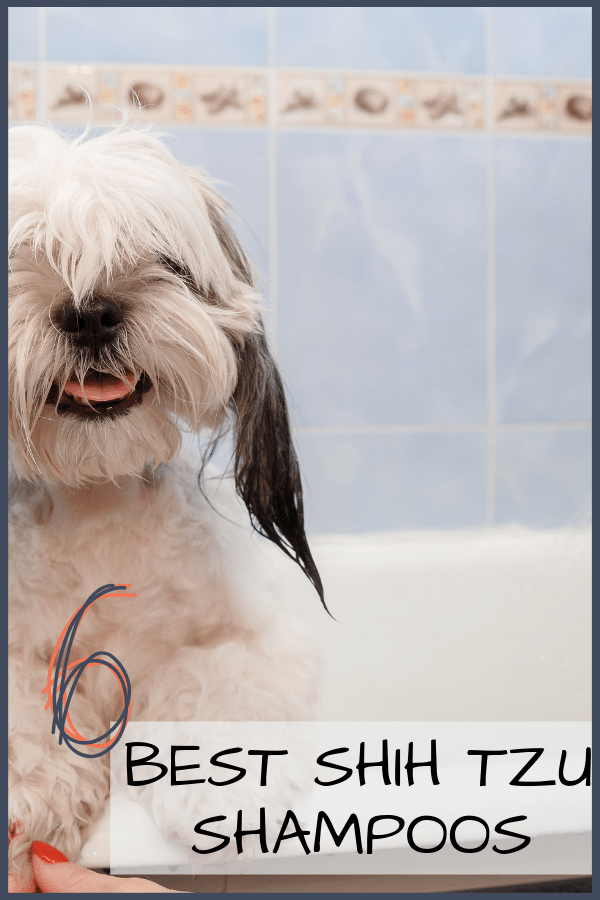 Best Overall Shampoos for a Shih Tzu