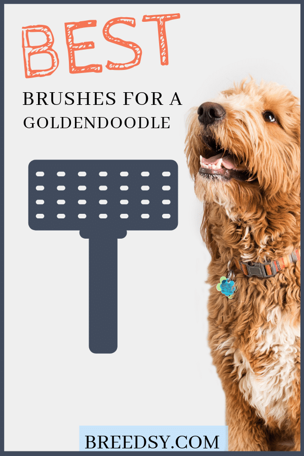 best dog brush for a goldendoodle