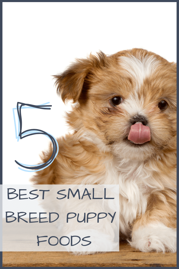 our picks for the 5 best small breed puppy foods