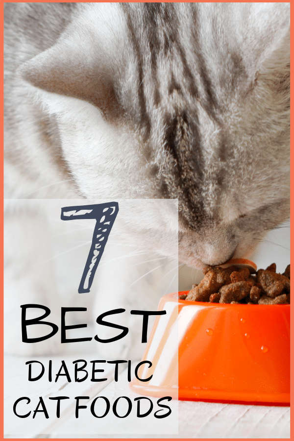 we found the best foods to feed your diabetic cat