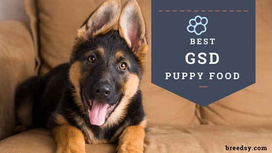8 Best German Shepherd Puppy Foods and Most Affordable ...