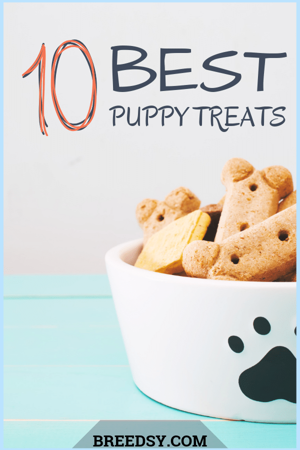 best treats for a puppy