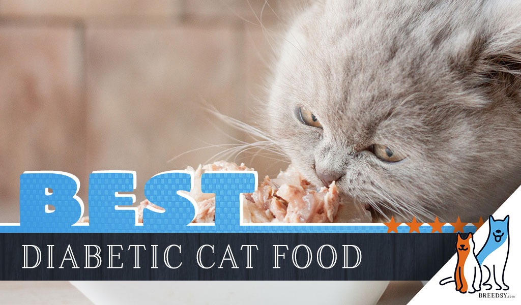purina diabetic wet cat food
