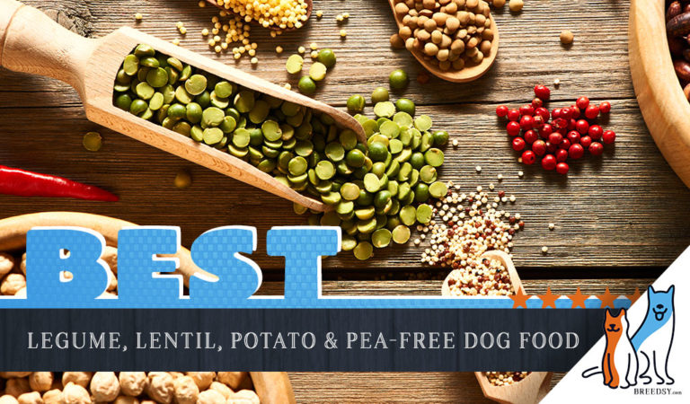 9 Best (Healthy) Dog Foods without Peas, Lentils, Legumes, and Potatoes 2023