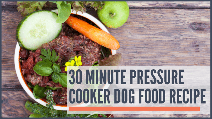 Easy 30-Minute Pressure Cooker (or slow cooker) Dog Food Recipe