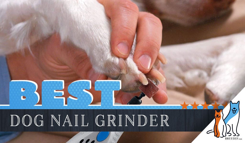 best pet nail grinder