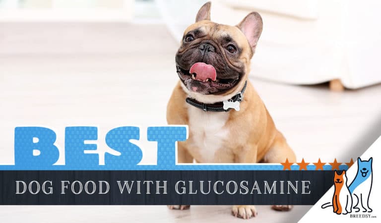 7 Best Dog Foods with Glucosamine: Our 2022 Joint Health Guide