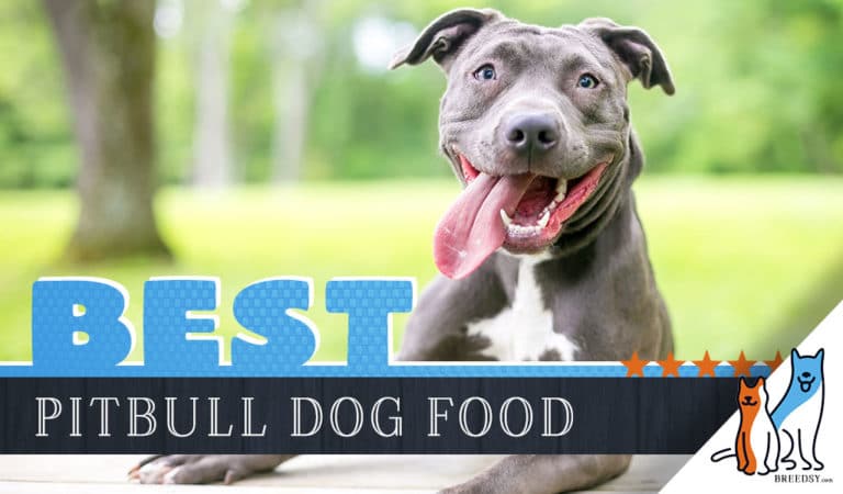 15 Best Dog Foods for American Pitbull Terriers: Our 2022 Feeding Guide
