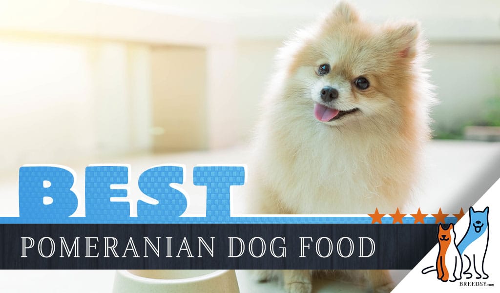 15 Best Dog Foods For Pomeranians Our 2020 In Depth Feeding Guide