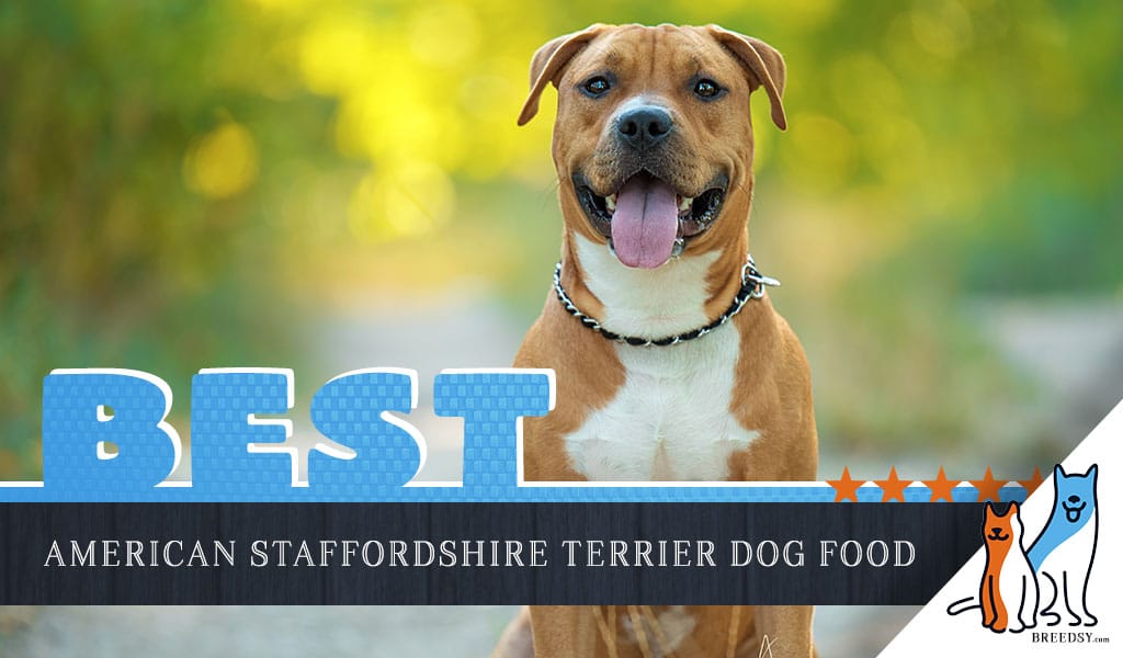 6 Best American Staffordshire Terrier Dog Foods