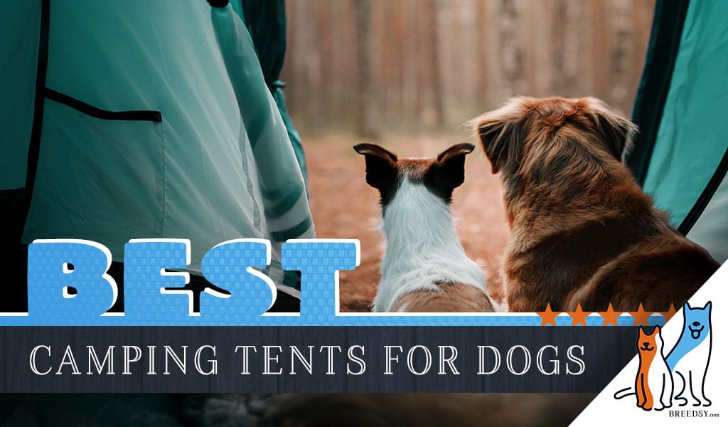 tent with dog area
