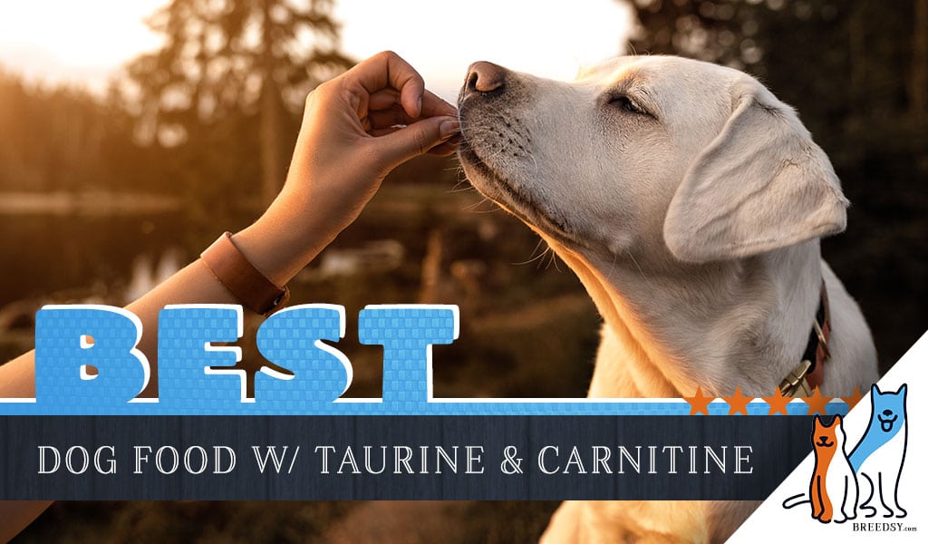 dog foods that contain taurine