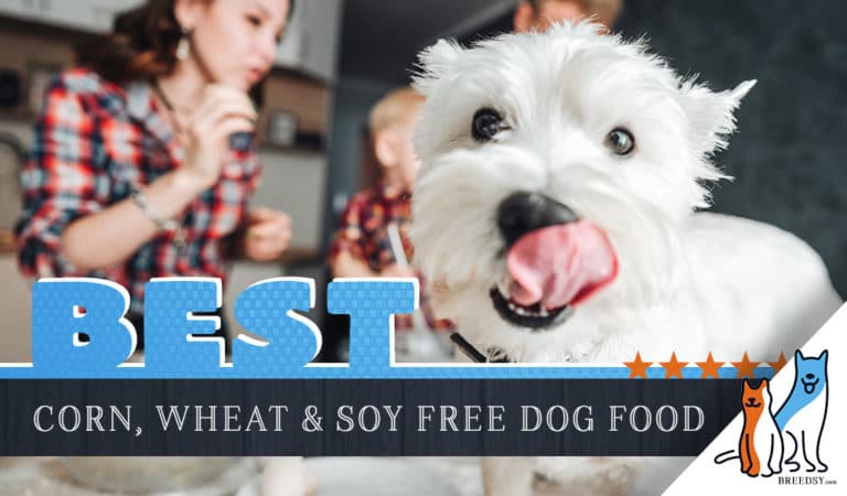 7 Best Dog Foods without Corn, Wheat, and Soy: Our 2022 Guide