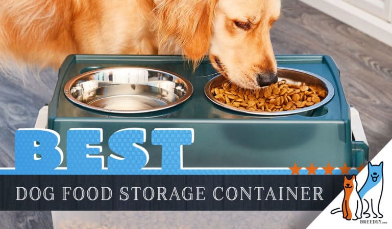 7 Best Dog Food Storage Containers: Our 2022 Guide