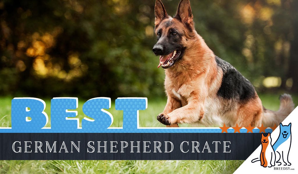 6 Best Dog Crates for German Shepherds in 2021