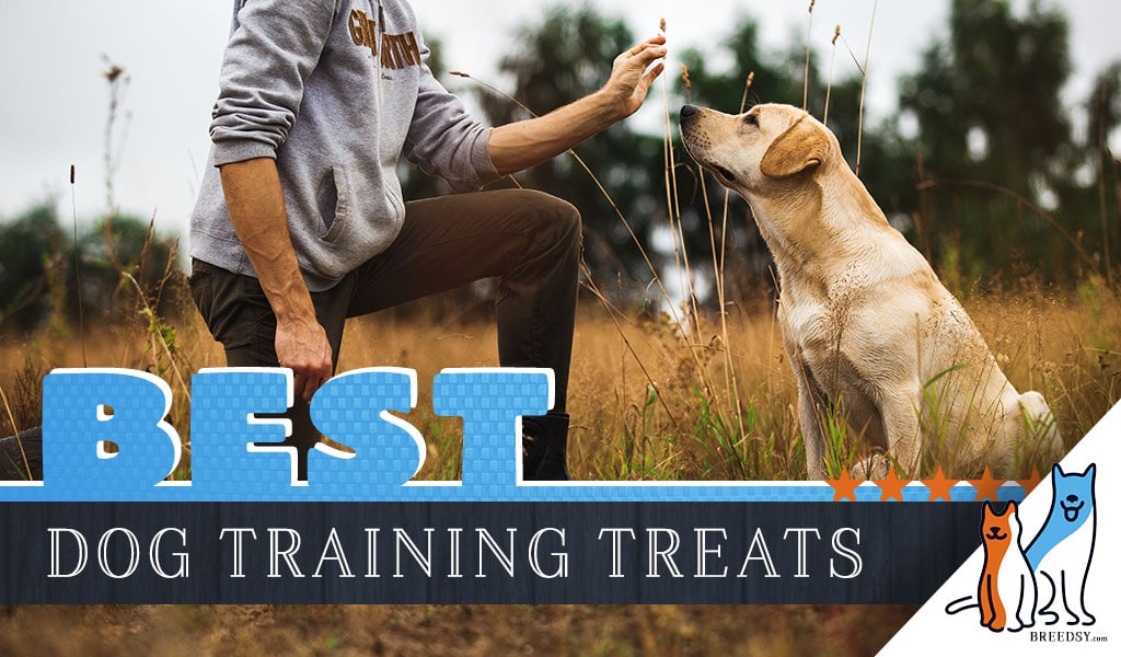 best training treats for labs