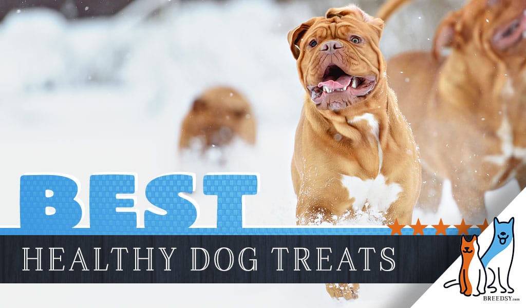 healthiest puppy treats