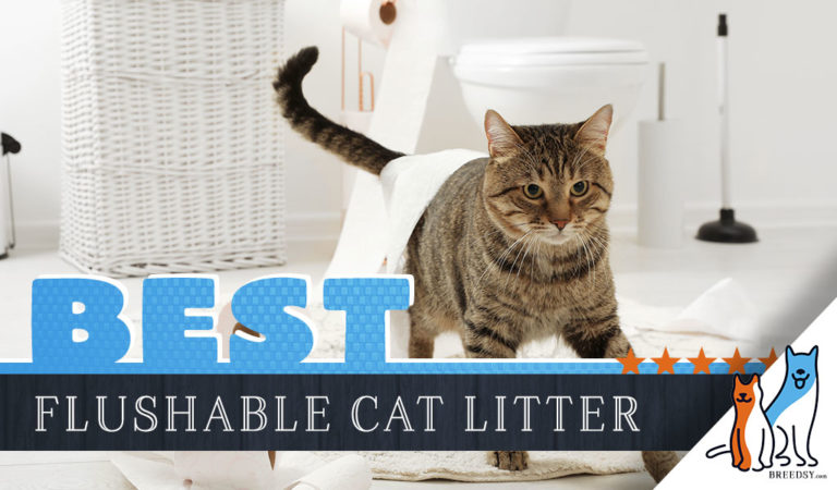 Best Flushable Cat Litter – 2022 Guide to Septic-Safe & Biodegradable Litters