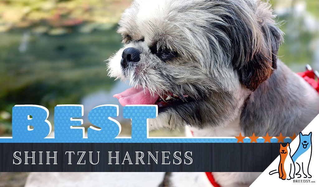 9 Best Dog Harnesses for Shih Tzu in 2020