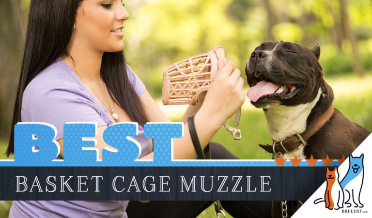 6 Best Basket Muzzles – Top Cage Muzzles for Easy Breathing, Drinking and Eating