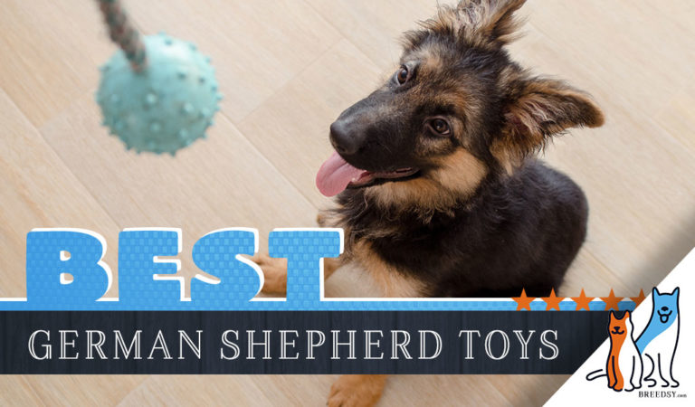 12 Best Dog Toys for German Shepherds in 2022