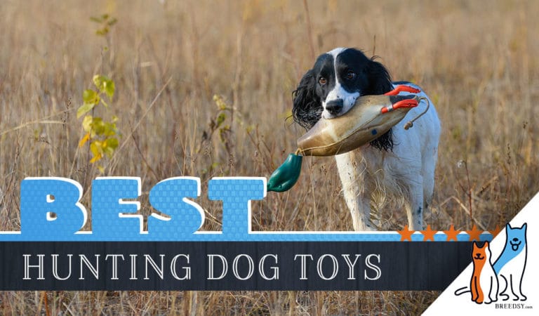12 Best Dog Toys for Hunting Dogs in 2022