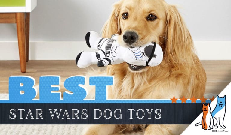 12 Best Star Wars Dog Toys in 2023