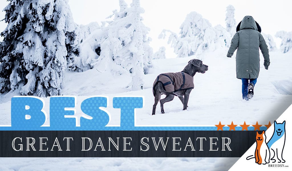winter sweaters for great danes
